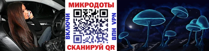 KRAKEN как войти купить закладку Павловск Псилоцибиновые грибы Psilocybine cubensis
